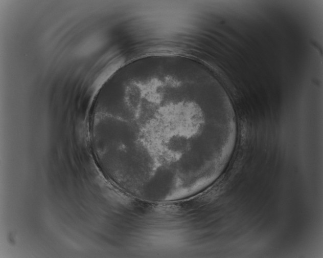 X0000103311466200809261325