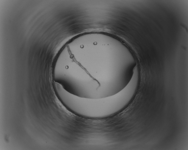 X0000103311468200809261325