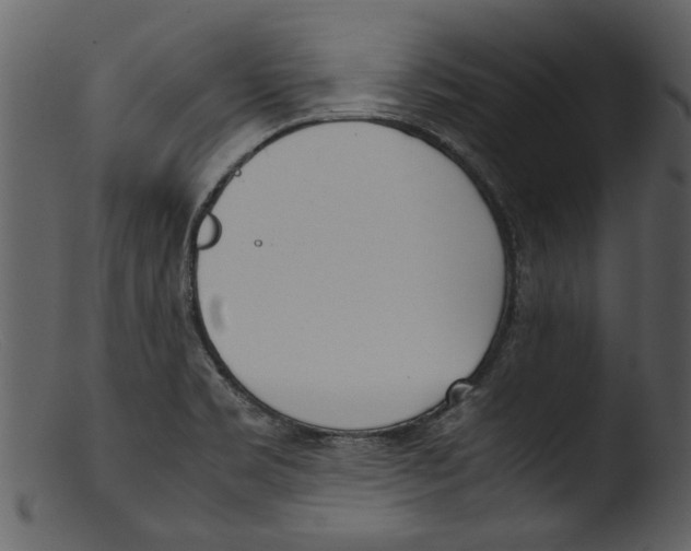 X0000103311469200809261325