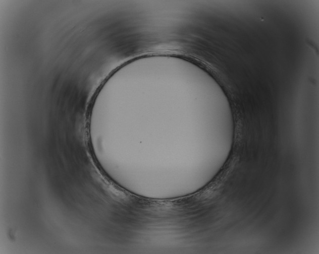 X0000103311470200809261325