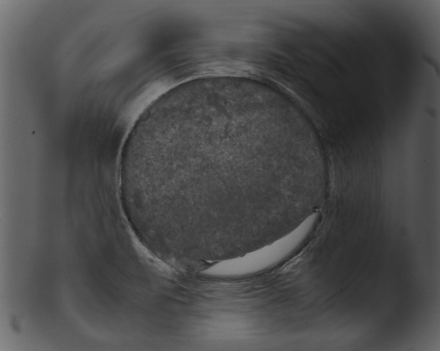 X0000103311471200809261325