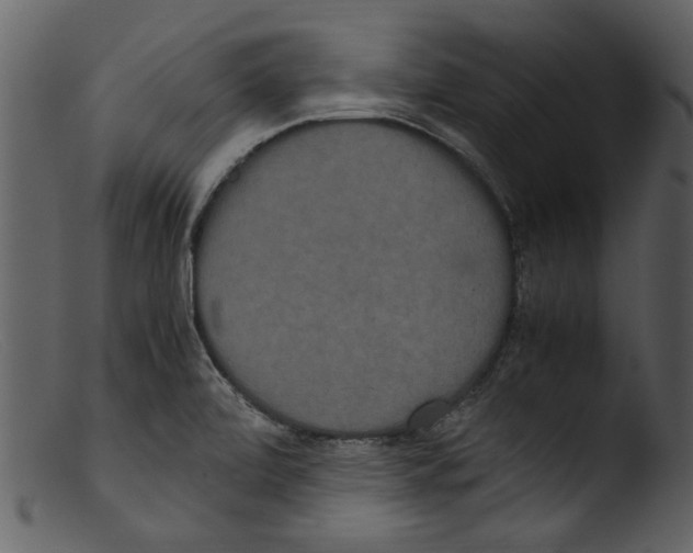 X0000103311472200809261325