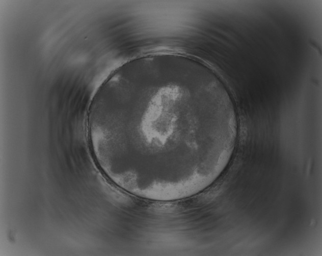 X0000103311474200809261325