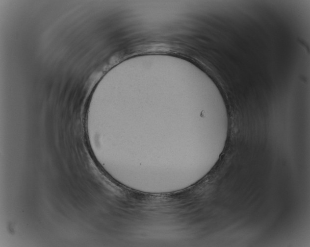 X0000103311475200809261325