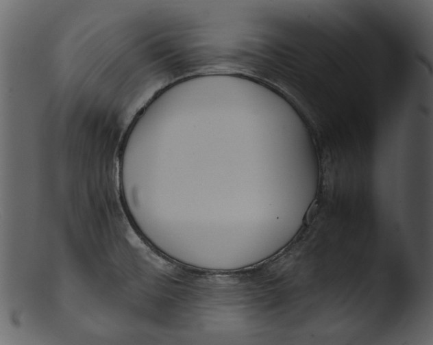 X0000103311476200809261325