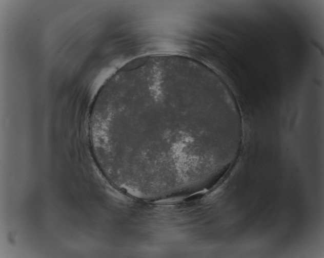 X0000103311477200809261325