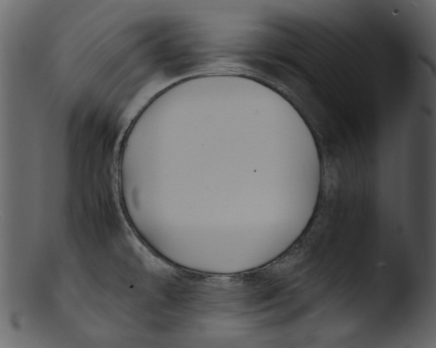 X0000103311478200809261325