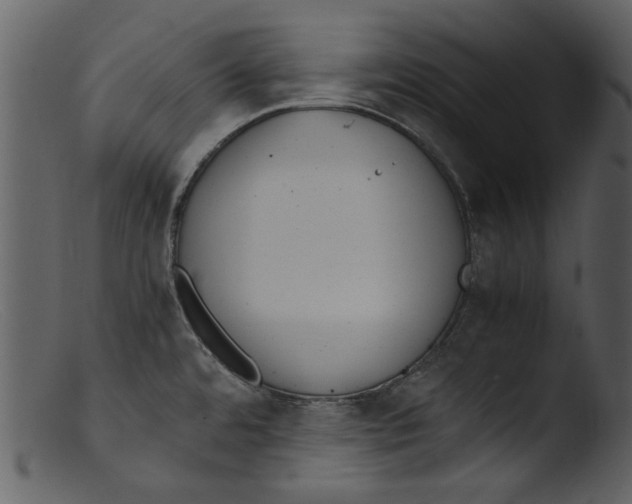 X0000103311480200809261325