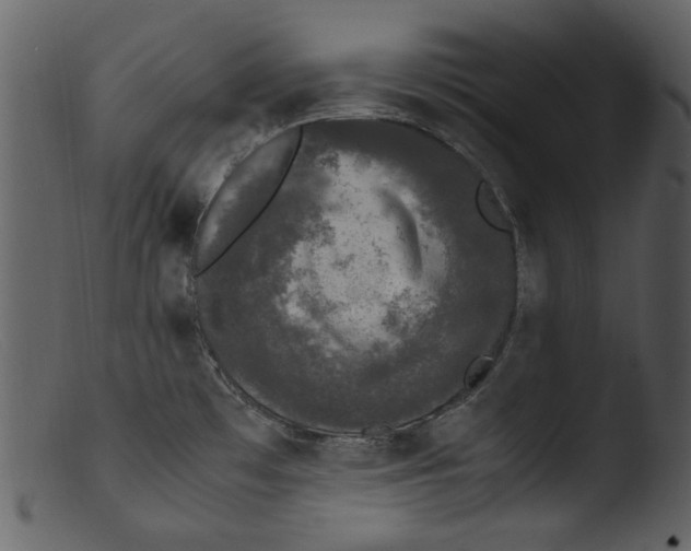 X0000103311481200809261325