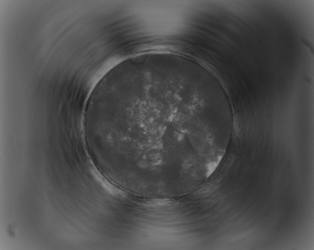 X0000103311482200809261325