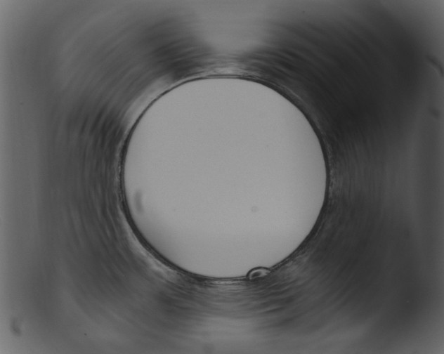 X0000103311483200809261325