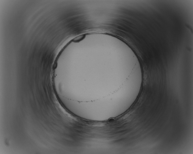 X0000103311484200809261325