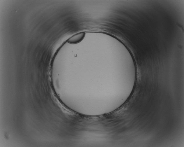 X0000103311485200809261325