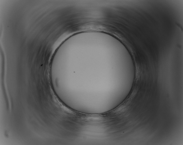 X0000103311486200809261325