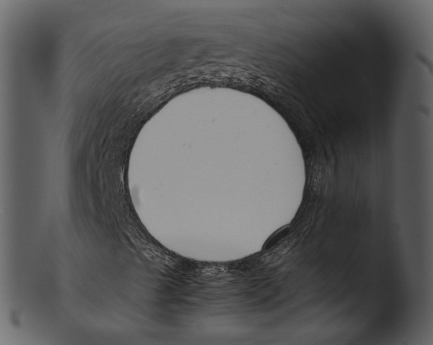 X0000103311489200809261324