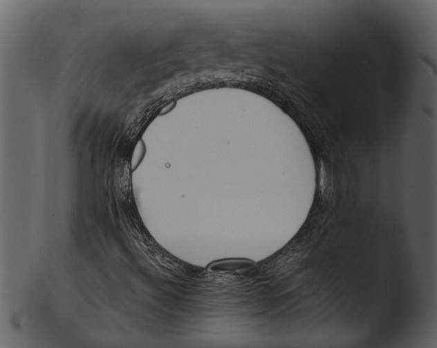 X0000103311492200809261325