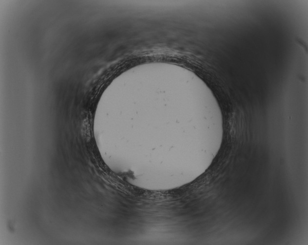 X0000103311493200809261325