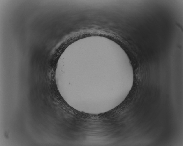 X0000103311495200809261325