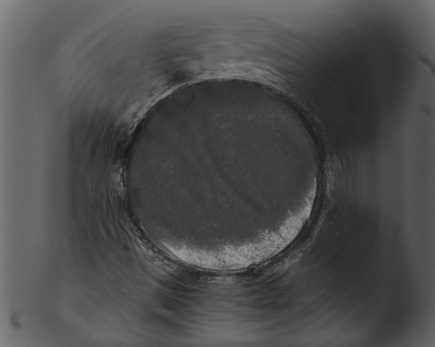 X0000103311497200809261325