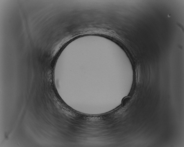 X0000103311501200809261325