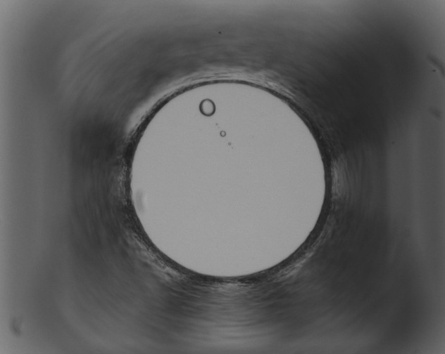 X0000103311502200809261325