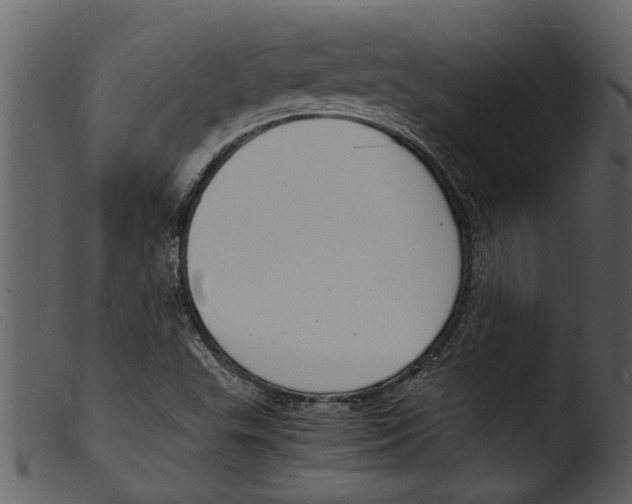 X0000103311503200809261325