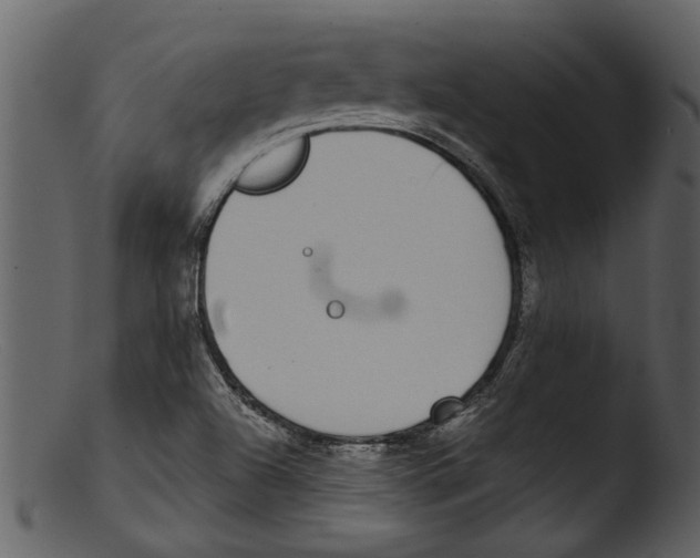 X0000103311504200809261325