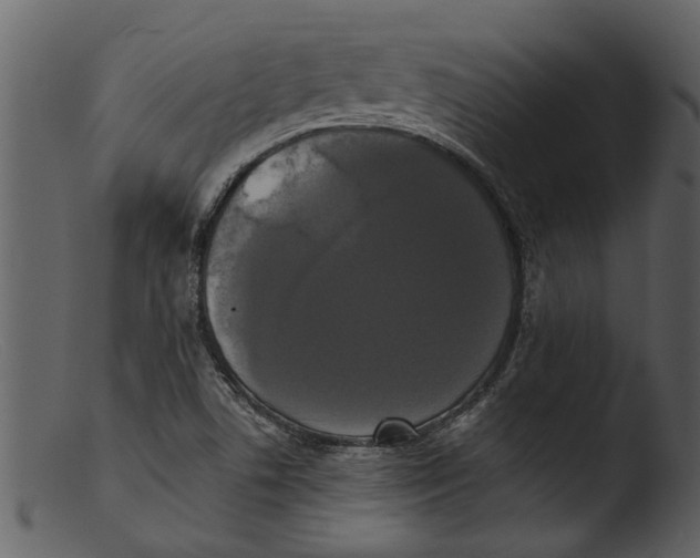 X0000103311506200809261325