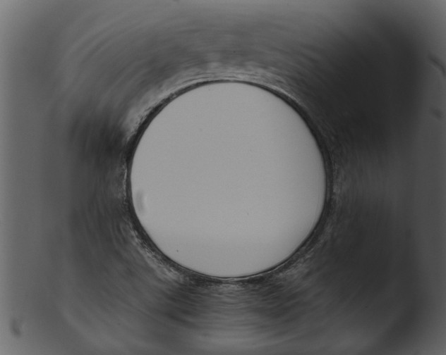 X0000103311507200809261325