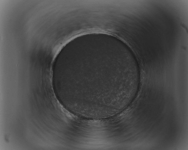 X0000103311508200809261325