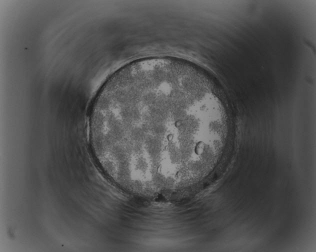 X0000103311509200809261325