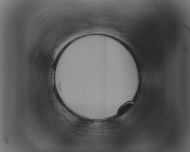 X0000103311510200809261325