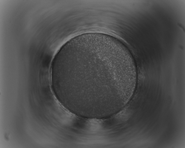 X0000103311514200809261325