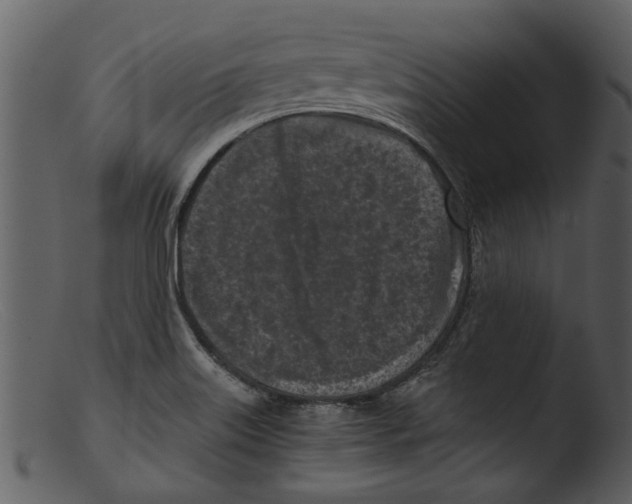 X0000103311515200809261325