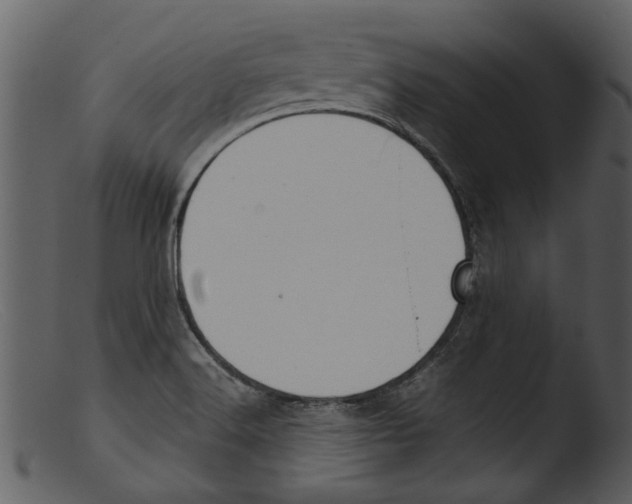 X0000103311516200809261325