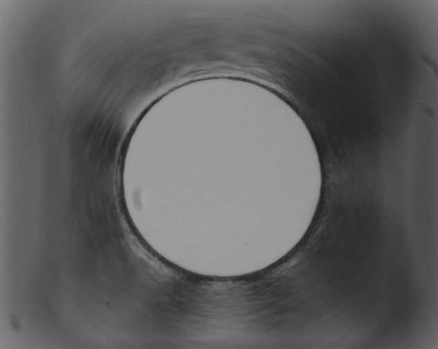 X0000103311518200809261325