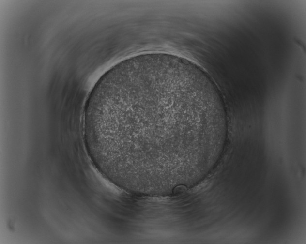 X0000103311519200809261325