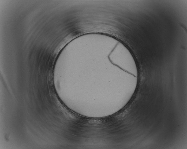 X0000103311521200809261325