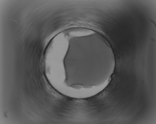 X0000103311522200809261325