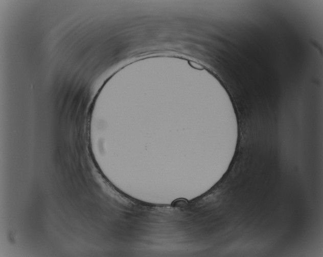 X0000103311526200809261325