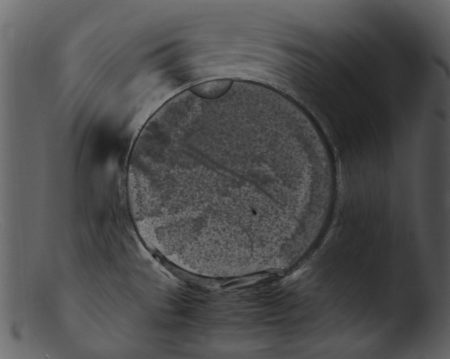 X0000103311529200809261325