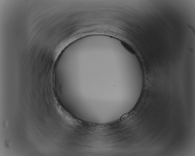 X0000103311530200809261325