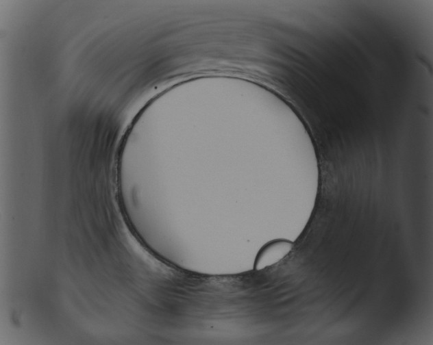 X0000103311531200809261325