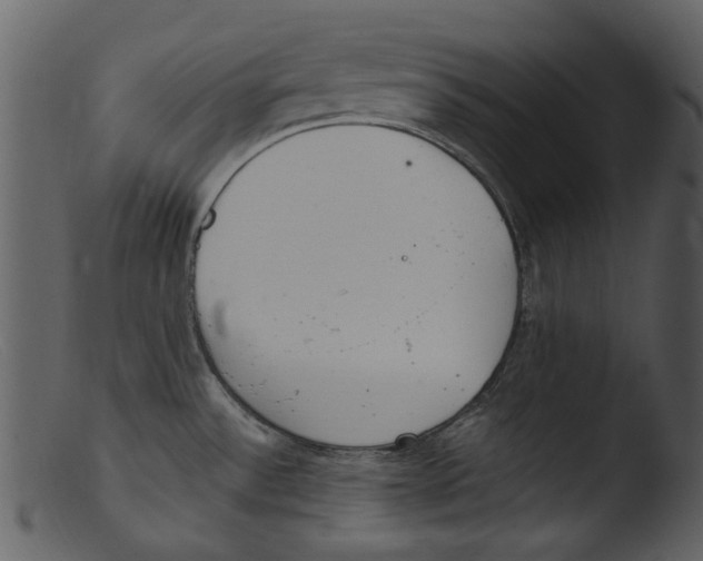 X0000103311532200809261325