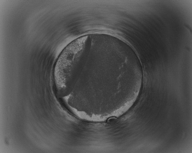 X0000103311533200809261325