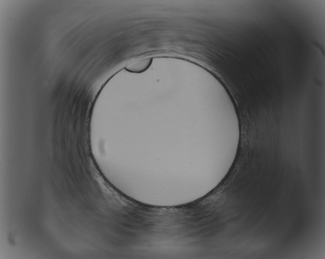 X0000103311534200809261325