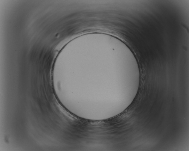 X0000103311535200809261325