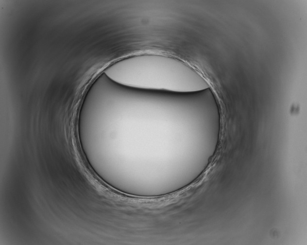 X0000103320001200809051010