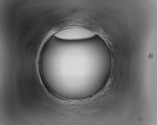 X0000103320003200809051010