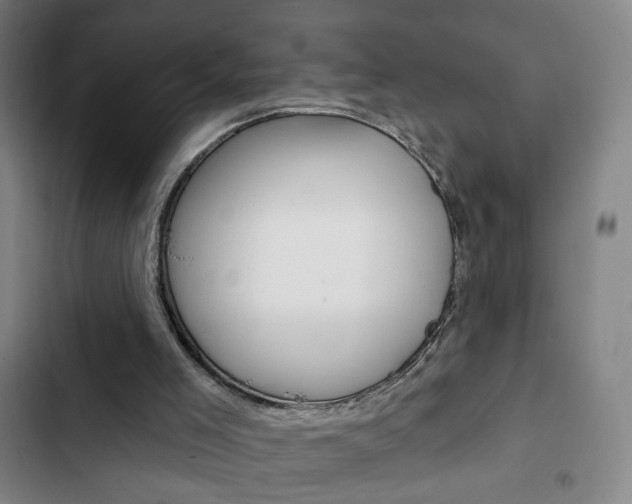 X0000103320005200809051010